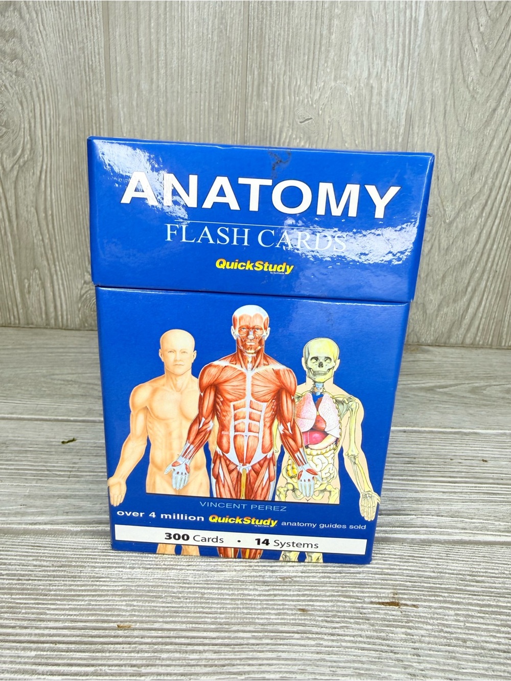 Anatomy Flash Cards 300 Cards 14 Systems Quick Study Box Color-Coded learning